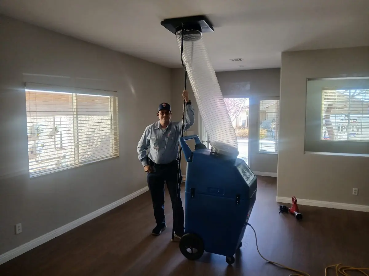 Professional Dryer Vent Cleaning work inside a East Rutherford home